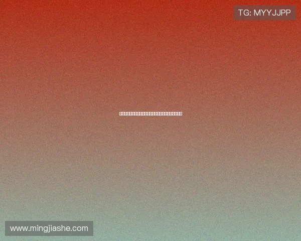 德国名哨兹瓦耶执法切尔西对阵阿贾克斯欧冠第三轮比赛